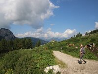 I, Belluno, Borca di Cadore, Monte Pellmo 2, Saxifraga-Foto Fitis-Sytske Dijksen