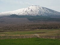 I, Catania, Bronte, Etna 8, Saxifraga-Hans Dekker