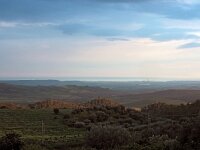 I, Catania, Caltagirone 3, Saxifraga-Hans Dekker