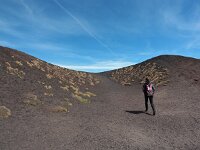 I, Catania, Nicolosi, Etna 10, Saxifraga-Hans Dekker