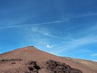 I, Catania, Nicolosi, Etna 2, Saxifraga-Hans Dekker