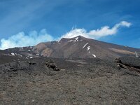 I, Catania, Nicolosi, Etna 3, Saxifraga-Hans Dekker