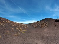 I, Catania, Nicolosi, Etna 8, Saxifraga-Hans Dekker