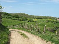 I, Grosseto, Arcidosso 13, Saxifraga-Hans Dekker