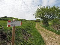 I, Grosseto, Arcidosso 14, Saxifraga-Hans Dekker