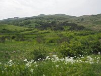 I, Grosseto, Arcidosso 5, Saxifraga-Hans Dekker