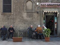 I, Grosseto, Arcidosso 6, Saxifraga-Hans Dekker