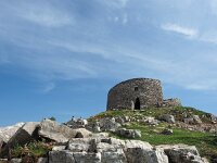 I, Grosseto, Arcidosso 7, Saxifraga-Hans Dekker