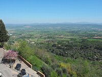 I, Grosseto, Scarlino 2, Saxifraga-Hans Dekker