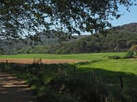 I, Grosseto, Scarlino, Cala Violina 1, Saxifraga-Hans Dekker