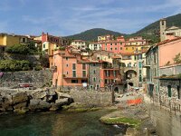 I, Liguria, Lerici, Telaro 4, Saxifraga-Hans Dekker