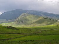 I, Palermo, Corleone 2, Saxifraga-Hans Dekker