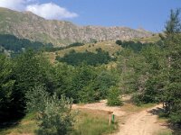 I, Pistoia, Abetone, La Verginetta 2, Saxifraga-Jan van der Straaten