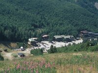 I, Pistoia, Abetone, Val di Luce 18, Saxifraga-Jan van der Straaten