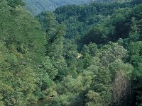 I, Pistoia, Cutigliano 2, Saxifraga-Jan van der Straaten