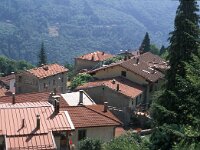 I, Pistoia, Cutigliano, Pianosinatico 1, Saxifraga-Jan van der Straaten