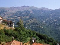 I, Pistoia, Cutigliano, Pianosinatico 2, Saxifraga-Jan van der Straaten