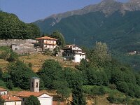 I, Pistoia, Cutigliano, Pianosinatico 3, Saxifraga-Jan van der Straaten