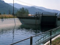 I, Pistoia, Cutigliano, Pianosinatico 4, Saxifraga-Jan van der Straaten