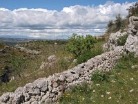 I, Siracusa, Palazzolo Acreide 2, Saxifraga-Hans Dekker