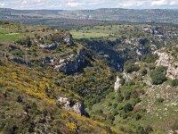 I, Siracusa, Palazzolo Acreide 3, Saxifraga-Hans Dekker