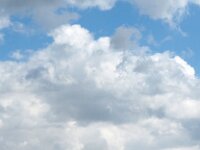 I, Sondrio, Valfurva, Passo di Gavia 3, Saxifraga-Hans Dekker