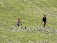 I, Sued-Tirol, Corvara, Kolfuschg 27, Saxifraga-Willem van Kruijsbergen