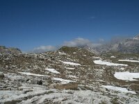 I, Sued-Tirol, Corvara, Naturpark Puez-Geisler 120, Saxifraga-Annemiek Bouwman