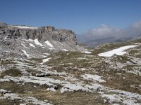 I, Sued-Tirol, Corvara, Naturpark Puez-Geisler, Altipiano de Crespeina 3, Saxifraga-Willem van Kruijsbergen