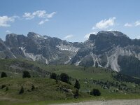 I, Sued-Tirol, Sankt Ulrich, Seceda 24, Saxifraga-Annemiek Bouwman