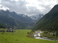 I, Sued-Tirol, Stelvio National Park, Sulden, Gran Zebru 3, Saxifraga-Jan van der Straaten