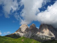 I, Trente, Canazei, Sellapas 1, Saxifraga-Hans Dekker