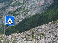 I, Trente, Ville d'Anaunia, Lago di Tovel 8, Saxifraga-Hans Dekker