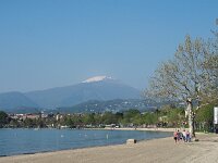 I, Verona, Lazise 12, Saxifraga-Hans Dekker