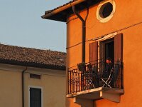 I, Verona, Lazise 13, Saxifraga-Hans Dekker