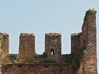 I, Verona, Lazise 16, Saxifraga-Hans Dekker