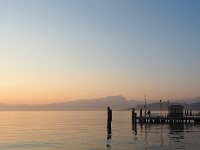 I, Verona, Lazise 5, Saxifraga-Hans Dekker