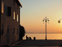 I, Verona, Lazise 6, Saxifraga-Hans Dekker