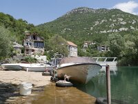 MNE, Cetinje, Skadarsko jezero at Karuc 5, Saxifraga-Tom Heijnen