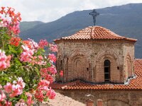 NMK, Ohrid 3, Saxifraga-Foto Fitis-Sytske Dijksen