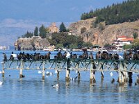 NMK, Ohrid 7, Saxifraga-Foto Fitis-Sytske Dijksen