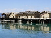 NMK, Ohrid, Bay of Bones 5, Saxifraga-Foto Fitis-Sytske Dijksen