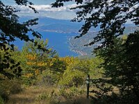 NMK, Ohrid, Galicica 2, Saxifraga-Foto Fitis-Sytske Dijksen