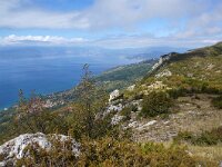 NMK, Ohrid, Galicica 7, Saxifraga-Foto Fitis-Sytske Dijksen