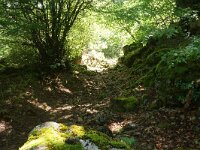 NMK, Ohrid, Galicica 8, Saxifraga-Foto Fitis-Sytske Dijksen