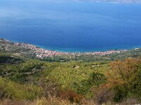 NMK, Ohrid, Pestani 5, Saxifraga-Foto Fitis-Sytske Dijksen