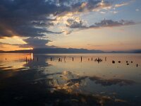 NMK, Ohrid, Pestani 9, Saxifraga-Foto Fitis-Sytske Dijksen