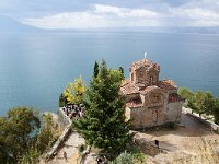 NMK, Ohrid, Sveti Kaneo 3, Saxifraga-Foto Fitis-Sytske Dijksen