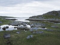N, Finnmark, Nordkapp, Gjesvaer 15, Saxifraga-Willem van Kruijsbergen
