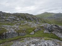 N, Finnmark, Nordkapp, Gjesvaer 19, Saxifraga-Willem van Kruijsbergen